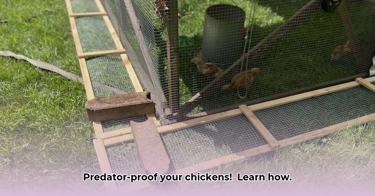 predator-proof-chicken-tractor